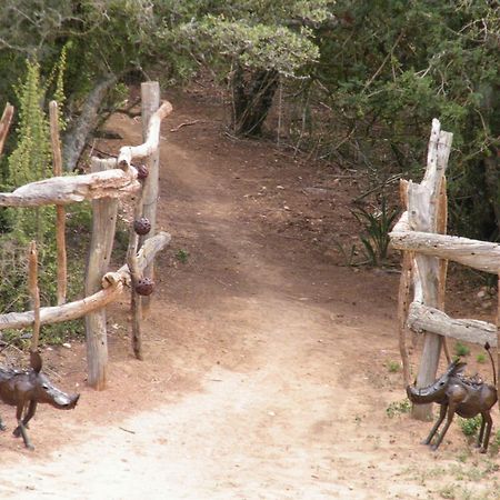 Addo Dung Beetle Guest Farmヴィラ エクステリア 写真