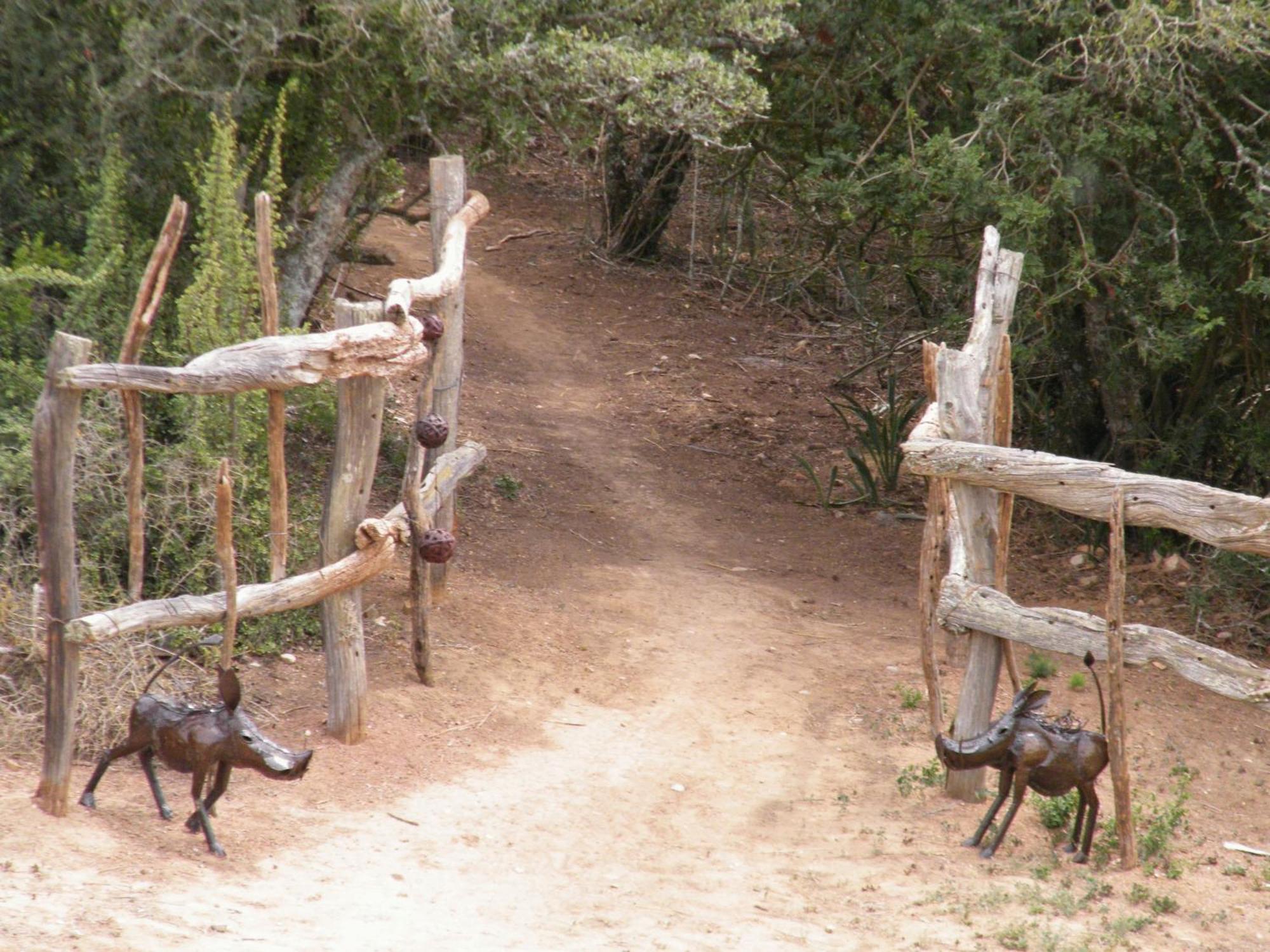Addo Dung Beetle Guest Farmヴィラ エクステリア 写真