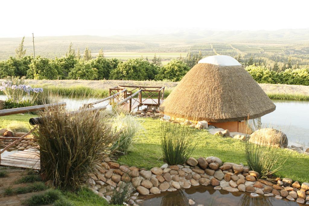 Addo Dung Beetle Guest Farmヴィラ エクステリア 写真
