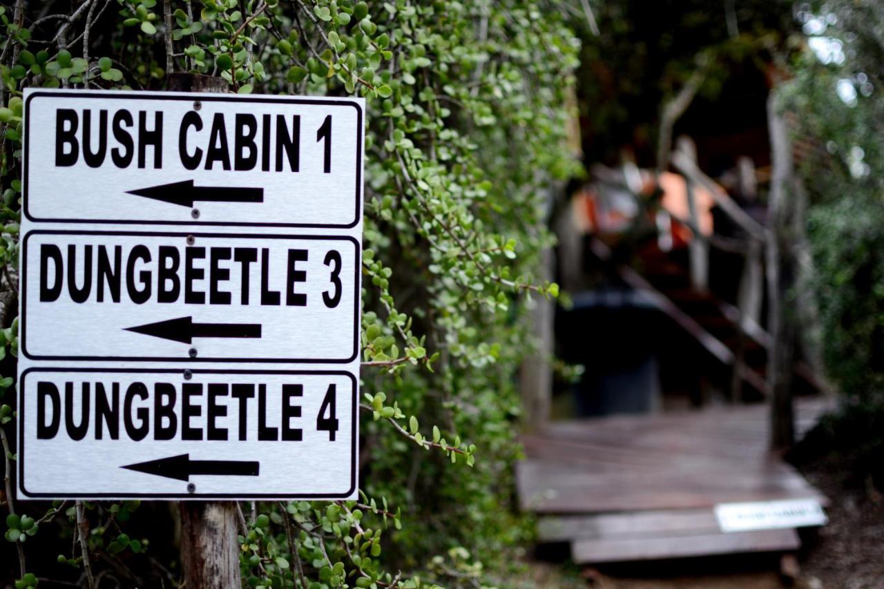 Addo Dung Beetle Guest Farmヴィラ エクステリア 写真